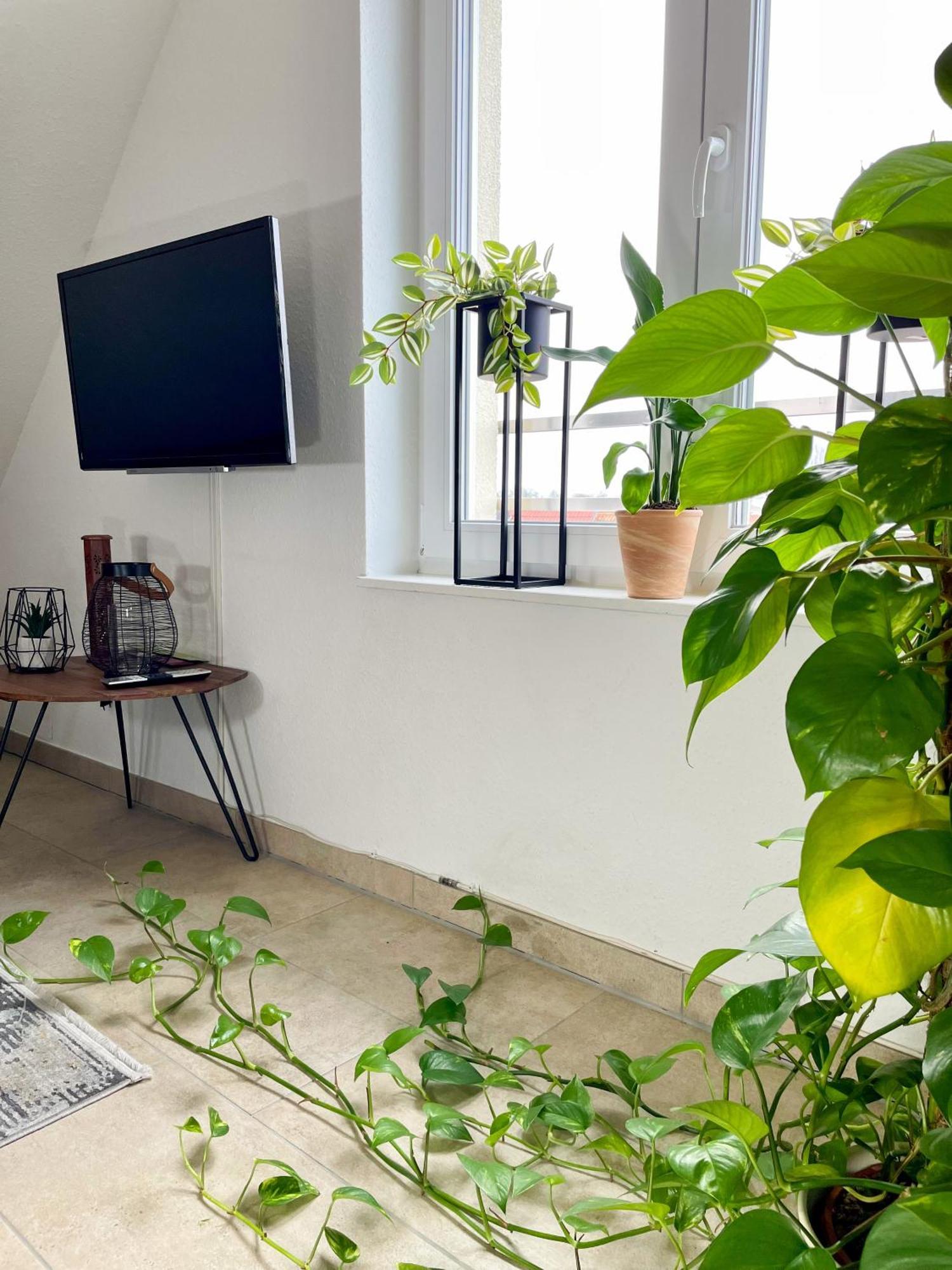 Ahaus: Stadtoase Mit Terrasse & Privater Garage Экстерьер фото